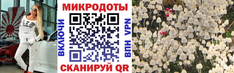 дарнет шоп Фатеж Псилоцибиновые грибы Psilocybe